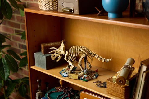 LEGO Dinosaur Fossils: Triceratops 77985