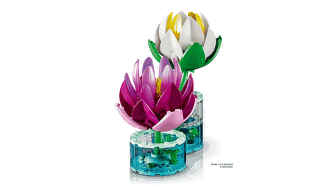 LEGO Botanicals Water Lilies 11511