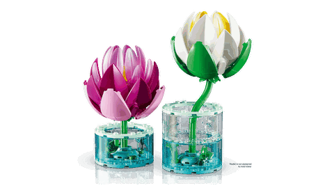 LEGO Botanicals Water Lilies 11511