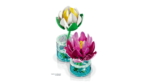 LEGO Botanicals Water Lilies 11511