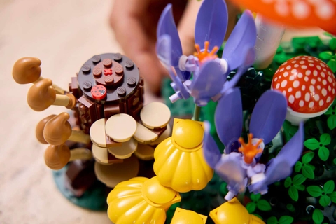 LEGO Botainicals Woodland Mushrooms 11505