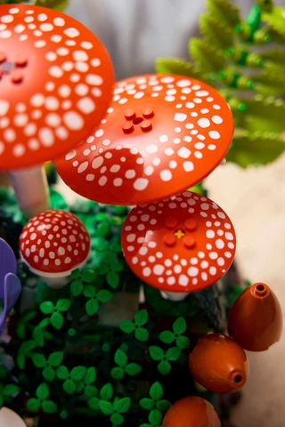 LEGO Botainicals Woodland Mushrooms 11505