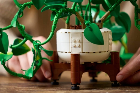 LEGO Botanicals Hanging Golden Pothos 11512