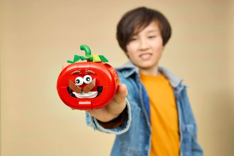 LEGO Fortnite Tomatohead 77079