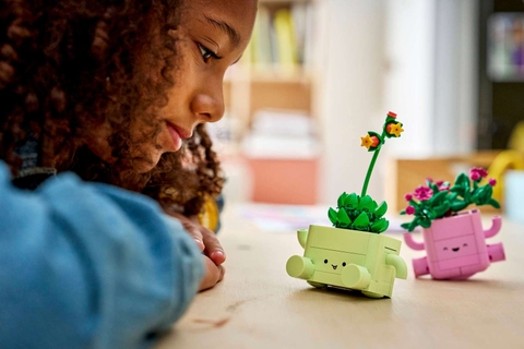 LEGO Botanicals Rocking Plants 11506
