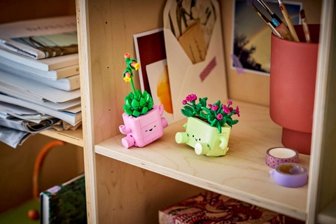 LEGO Botanicals Rocking Plants 11506