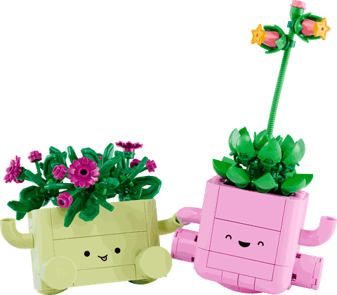LEGO Botanicals Rocking Plants 11506