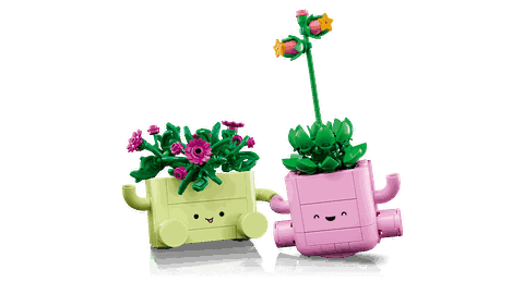 LEGO Botanicals Rocking Plants 11506