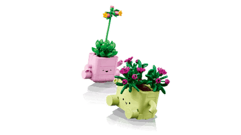 LEGO Botanicals Rocking Plants 11506
