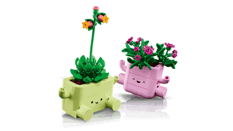 LEGO Botanicals Rocking Plants 11506