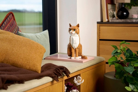 LEGO Orange Cat 21376