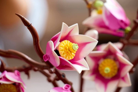 Lego Magnolia Branches 11510