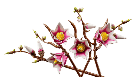 Lego Magnolia Branches 11510