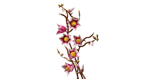 Lego Magnolia Branches 11510