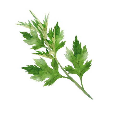 Hộp Miếng dán nóng Heat Therapy Warming Belt (Hộp 3 gói x 1 miếng)