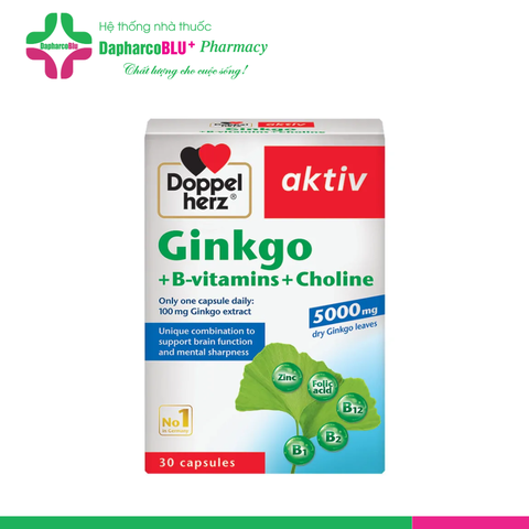 Doppelherz Ginkgo+B vit+Choline