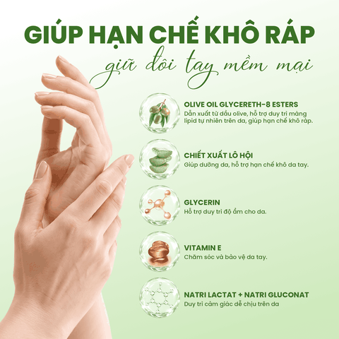 Nước Rửa Chén Eco An 485ml/500ml