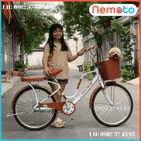 Xe Đạp Nữ Việt Nhật Mini Cao Cấp Size 20inch - Mã LATE -VN2