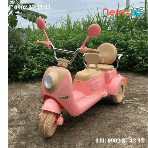 XE MÁY ĐIỆN MÃ DH - 318