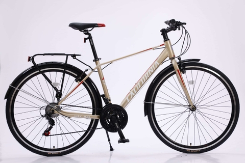 XE ĐẠP ĐỊA HÌNH CALIFORNIA CITY 300