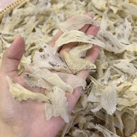 Yến thô bể nhỏ ít lông