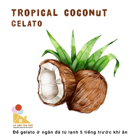Kem Dừa - Coconut Gelato