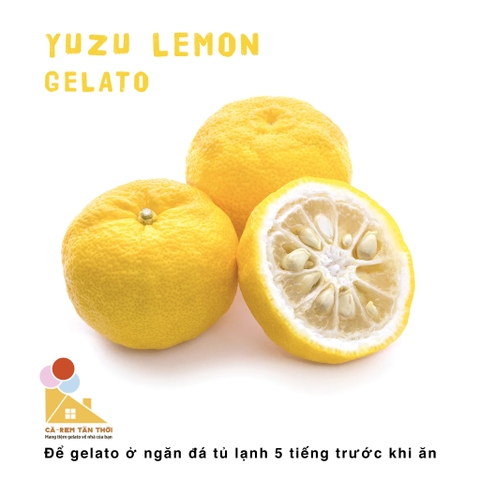 Kem Chanh Thanh Yên - Yuzu Lemon Gelato