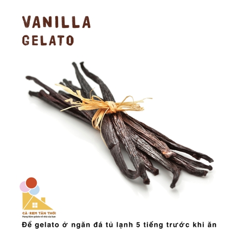 Kem Vani - Vanilla Gelato