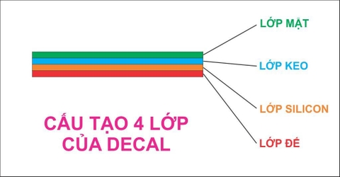 Giấy Decal là gì? Các loại giấy decal phổ biến hiện nay