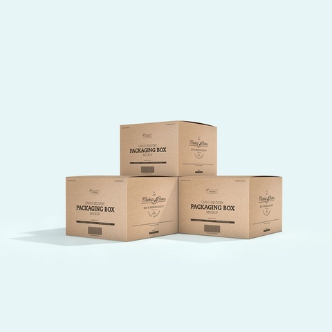 In hộp giấy carton - Carton box