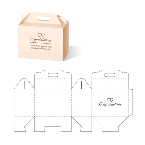 Thiết kế in nhanh hộp giấy -túi giấy