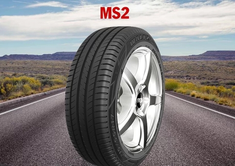 215/45 R17 MS2