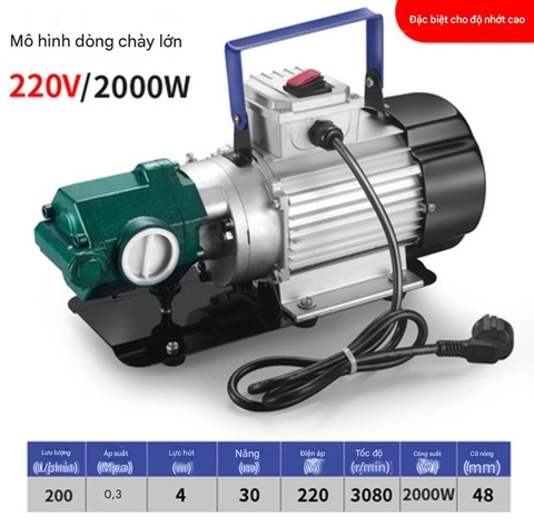 Máy bơm hút dầu nhớt bơm bánh răng ăn khớp ngoài Suoli