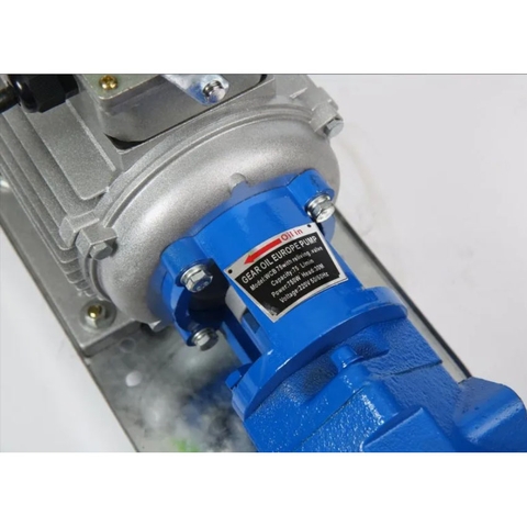 máy bơm dầu bánh răng điện 380V (điện 3 pha)