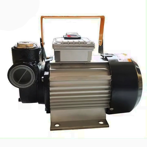 Máy Bơm Dầu Diesel 220V 550W Suoli