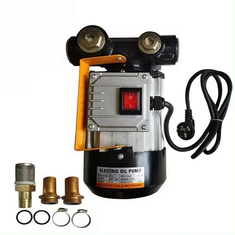 Máy Bơm Dầu Diesel 220V 550W Suoli