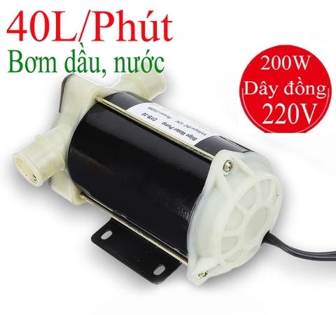 Bơm bơm nước đáy tầu thuyền DYB-30, điện 12V/24V/220V công suất 200W tôi đa 40 lít/1phút