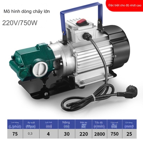 Máy bơm hút dầu nhớt bơm bánh răng ăn khớp ngoài Suoli