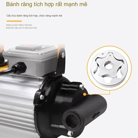 máy bơm dầu dầu nhớt 220V Suoli SL-010 motor dây đồng công suất 550W lưu lượng 60 lít