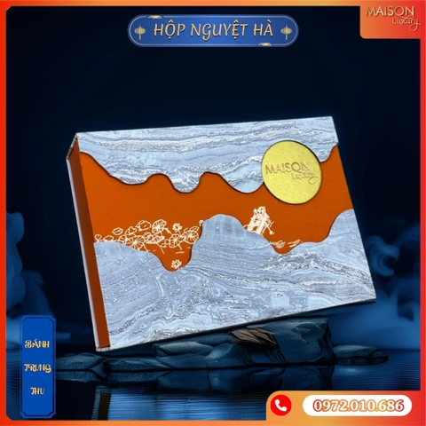Bánh trung thu healthy Nguyệt Hà 1