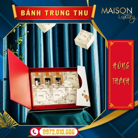 Bánh Trung Thu Healthy Hồng Thanh 3