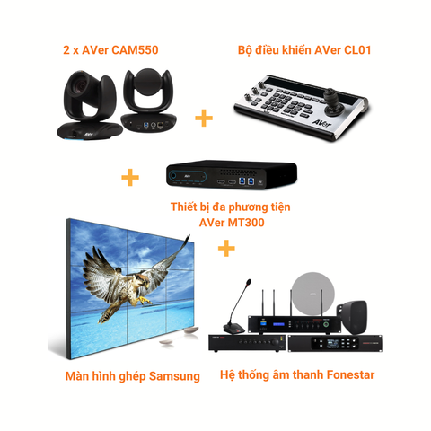 Gói giải pháp phòng họp lớn: 2 x AVer CAM550 + AVer MT300 + AVer CL01 + Màn hình ghép + Hệ thống âm thanh Fonestar