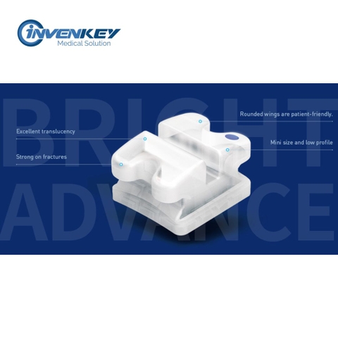 MẮC CÀI SỨ THƯỜNG - WBT KOREA