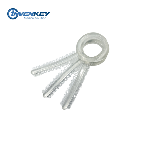 CHUN RỜI WBT – KOREA