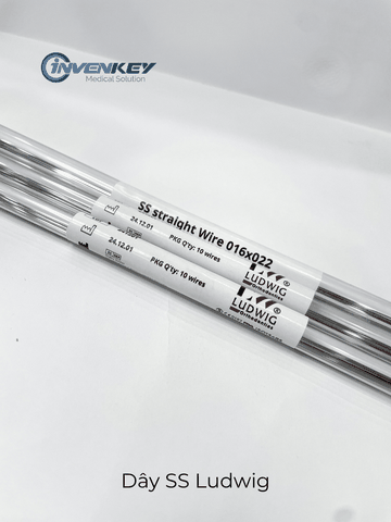 Dây thẳng SS Ludwig
