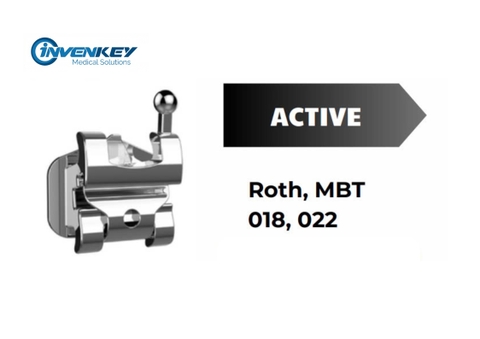 Mắc cài kim loại tự đóng Active Ludwig