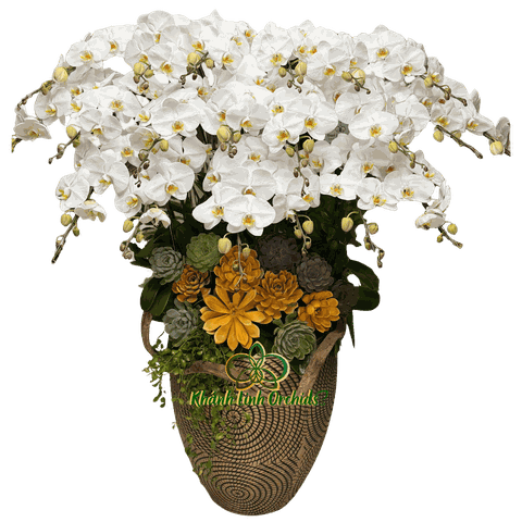 Lan Hồ Điệp Trắng 20 Cành - HDW054