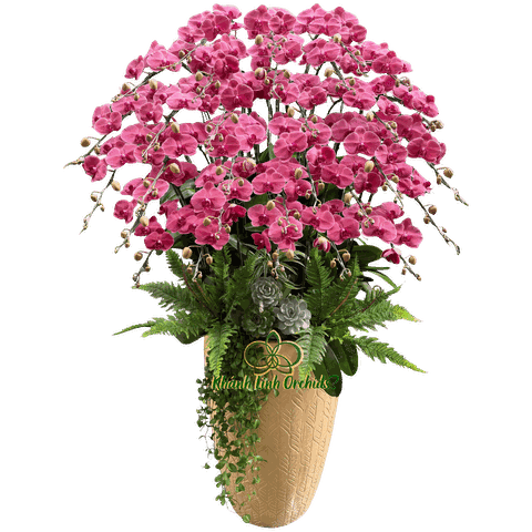 Lan Hồ Điệp Đỏ Cam 30 Cành - HDC037