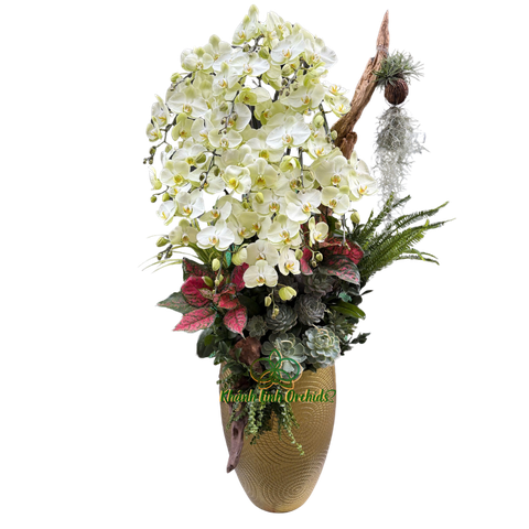 Lan Hồ Điệp Xanh Bơ Thác Đổ 15 Cành - HDX019