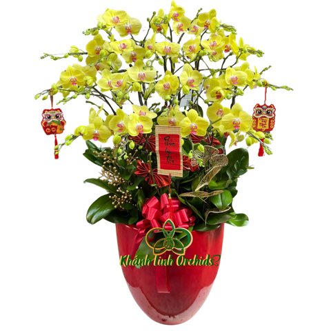 Lan Hồ Điệp Vàng Chanh 18 Cành - HDV073